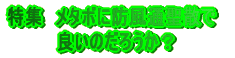 ���W�@���^�{�ɖh���ʐ��U�� �@�@�@�@�ǂ��̂��낤���H