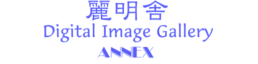 [햾Digital Image Gallery ANNEX]