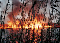 ���̃t�@���^�W�[