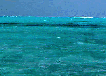 美しい海