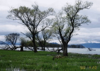 �萁�����V